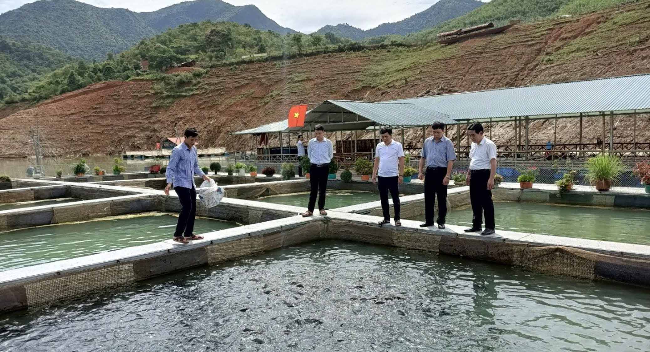 Lãnh đạo Liên minh Hợp tác xã tỉnh cùng các đồng chí Viện Phát triển kinh tế hợp tác thăm mô hình nuôi cá lồng tại Hợp tác xã Thanh niên Thẩm Phé (huyện Than Uyên).